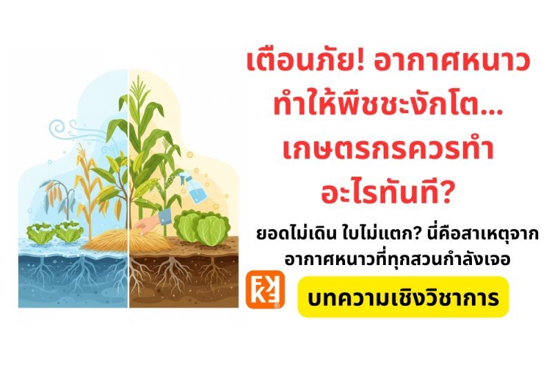 รูปภาพประกอบ