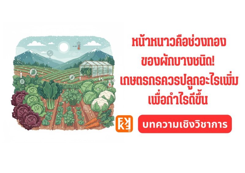 รูปภาพประกอบ