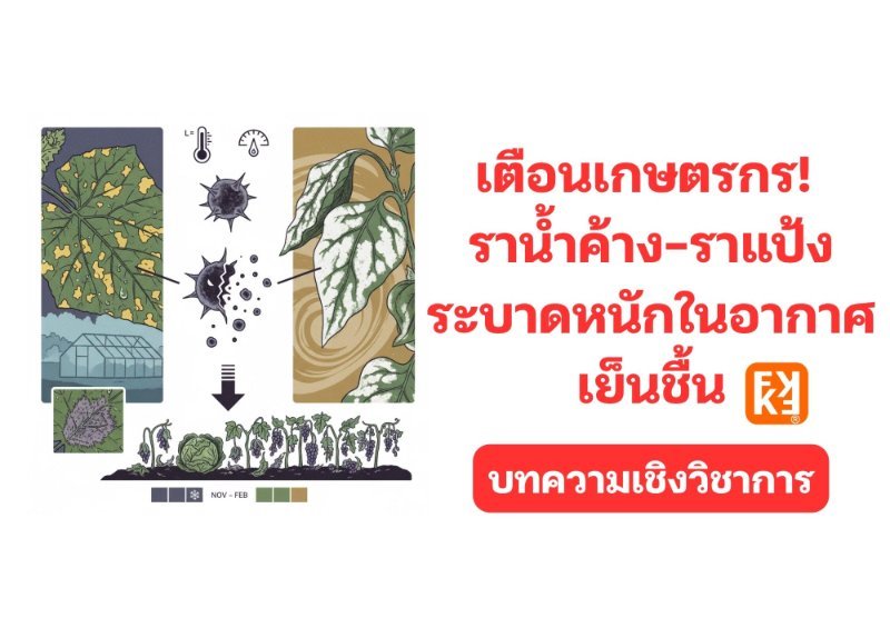 รูปภาพประกอบ