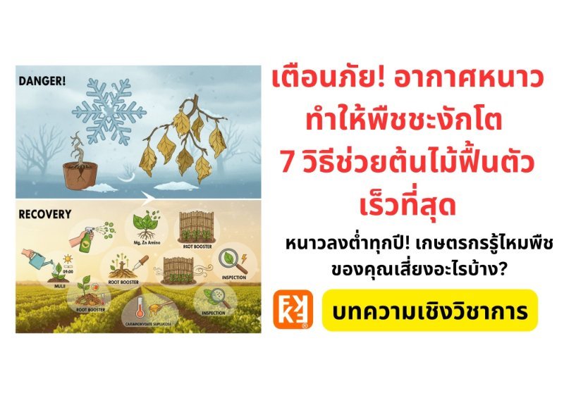 รูปภาพประกอบ