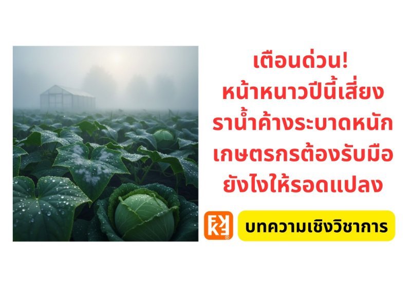 รูปภาพประกอบ