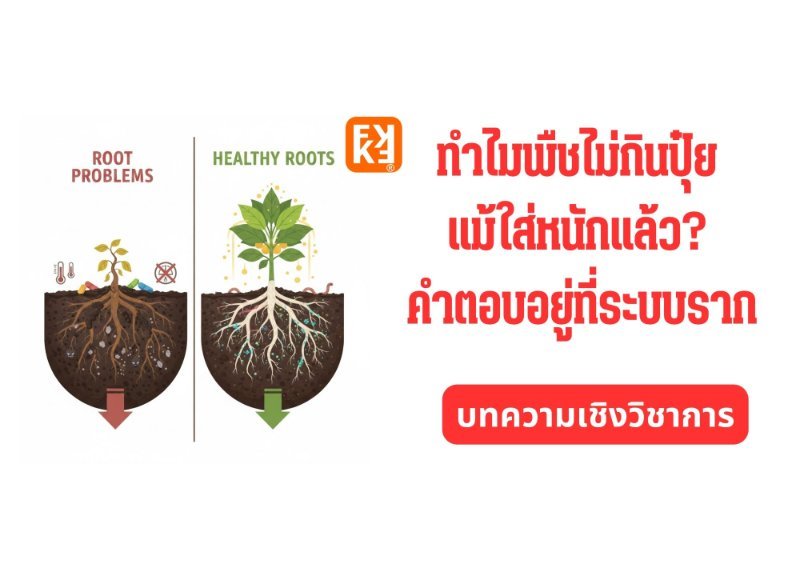 รูปภาพประกอบ