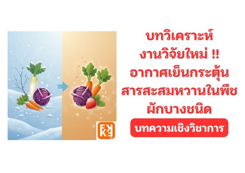 รูปภาพประกอบ