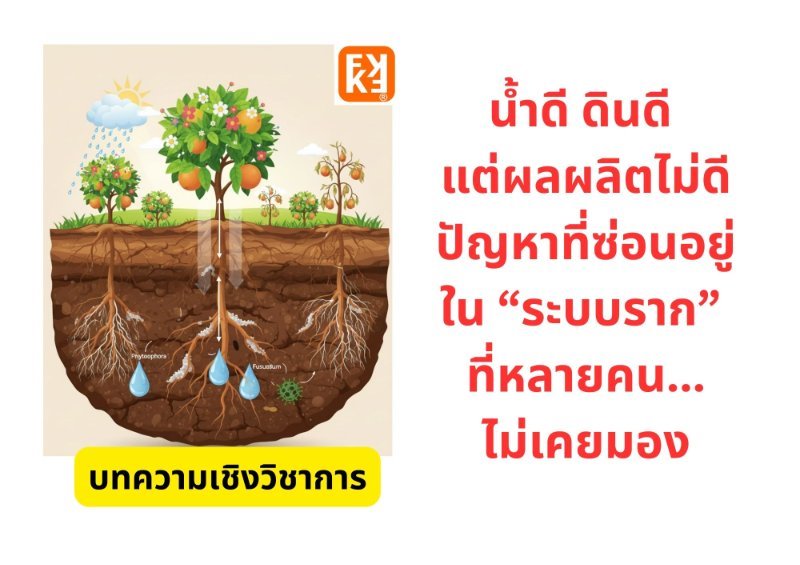 รูปภาพประกอบ