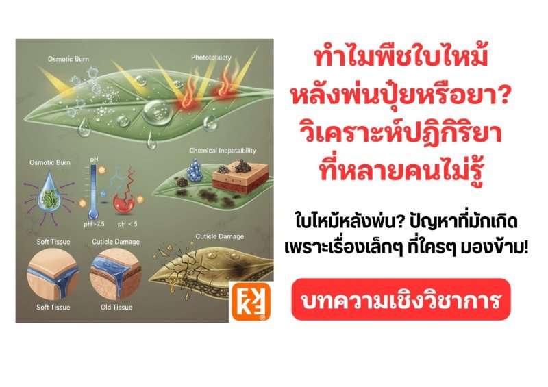 รูปภาพประกอบ