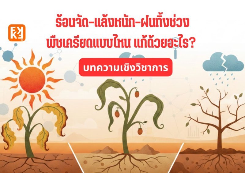 รูปภาพประกอบ