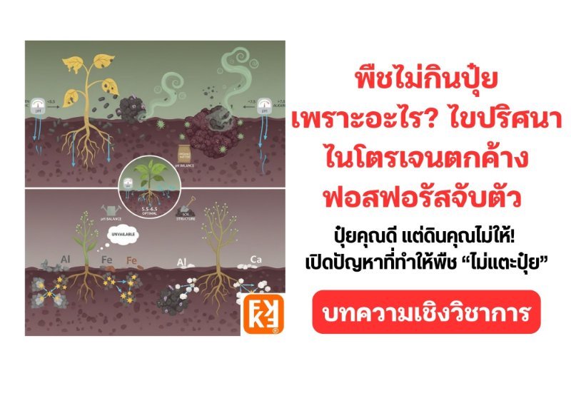 รูปภาพประกอบ