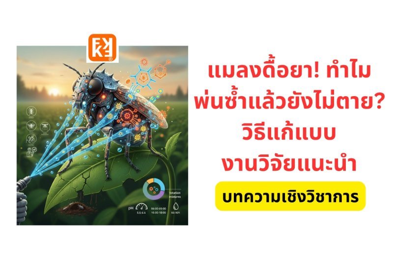 รูปภาพประกอบ