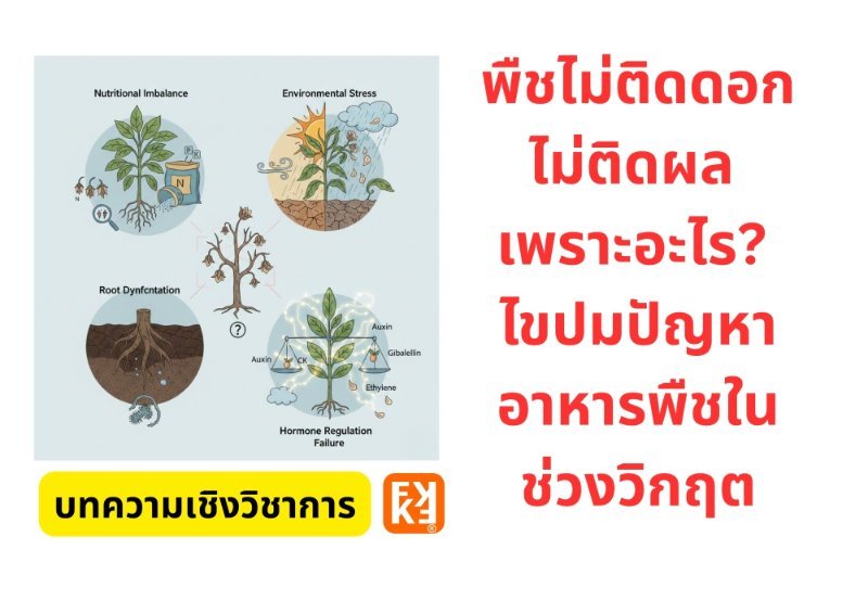 รูปภาพประกอบ