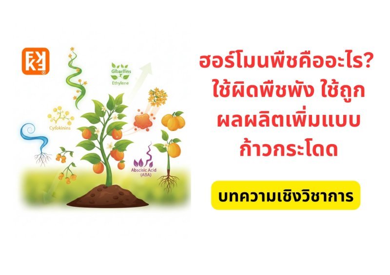 รูปภาพประกอบ