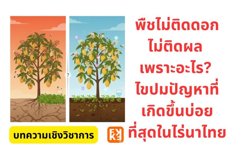 รูปภาพประกอบ