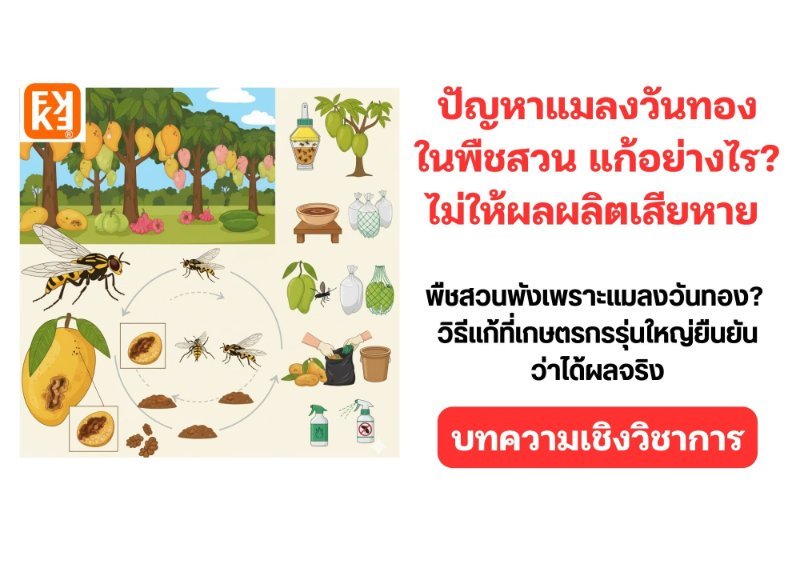 รูปภาพประกอบ