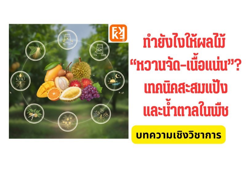 รูปภาพประกอบ