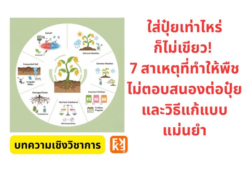 รูปภาพประกอบ