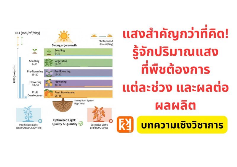 รูปภาพประกอบ