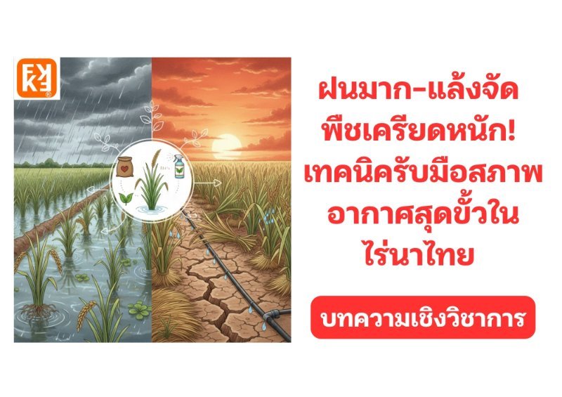 รูปภาพประกอบ