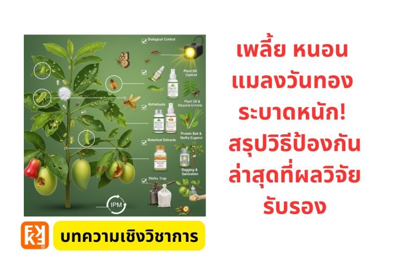 รูปภาพประกอบ