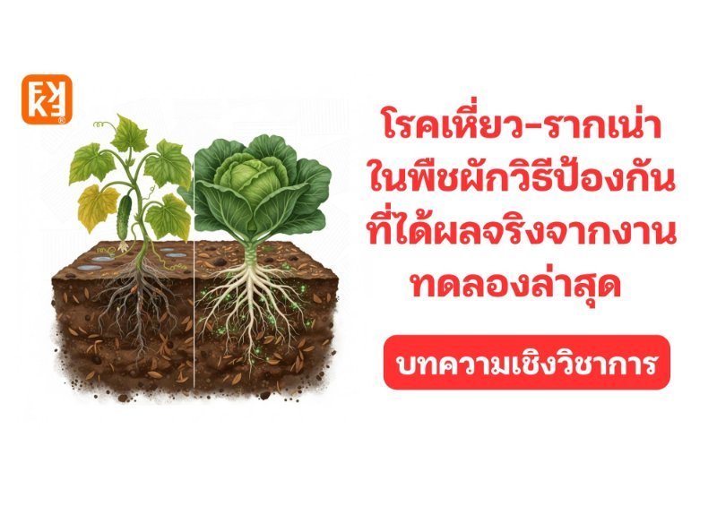 รูปภาพประกอบ