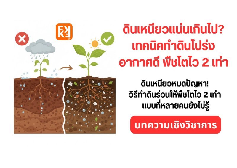 รูปภาพประกอบ