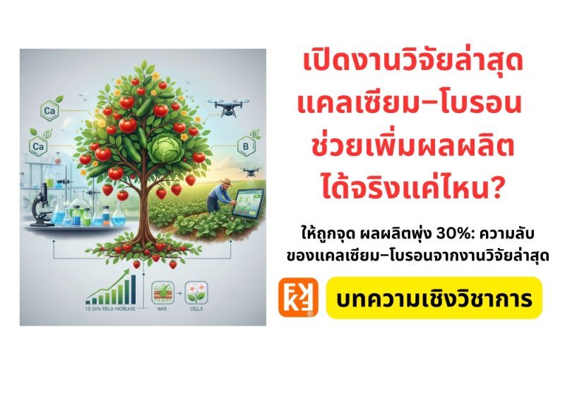 รูปภาพประกอบ