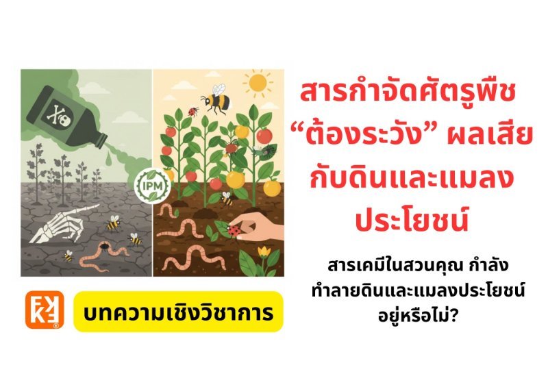 รูปภาพประกอบ