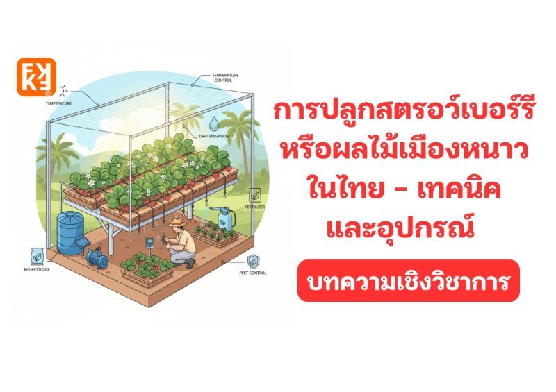 รูปภาพประกอบ