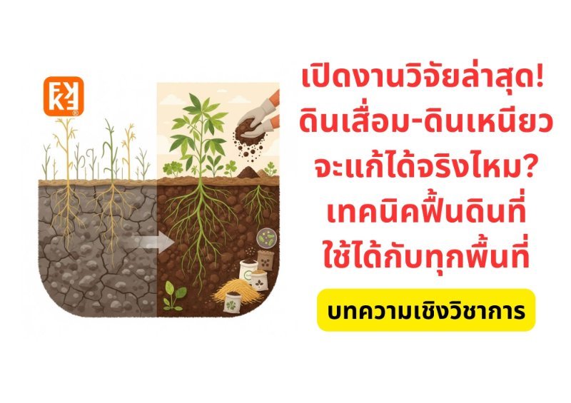 รูปภาพประกอบ