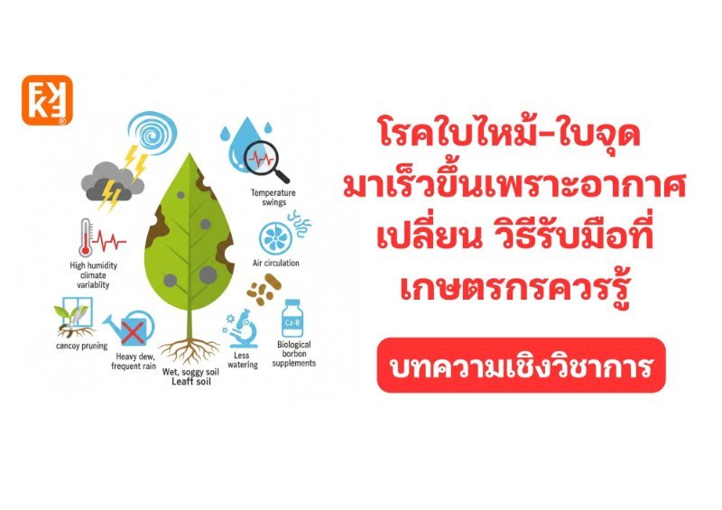 รูปภาพประกอบ