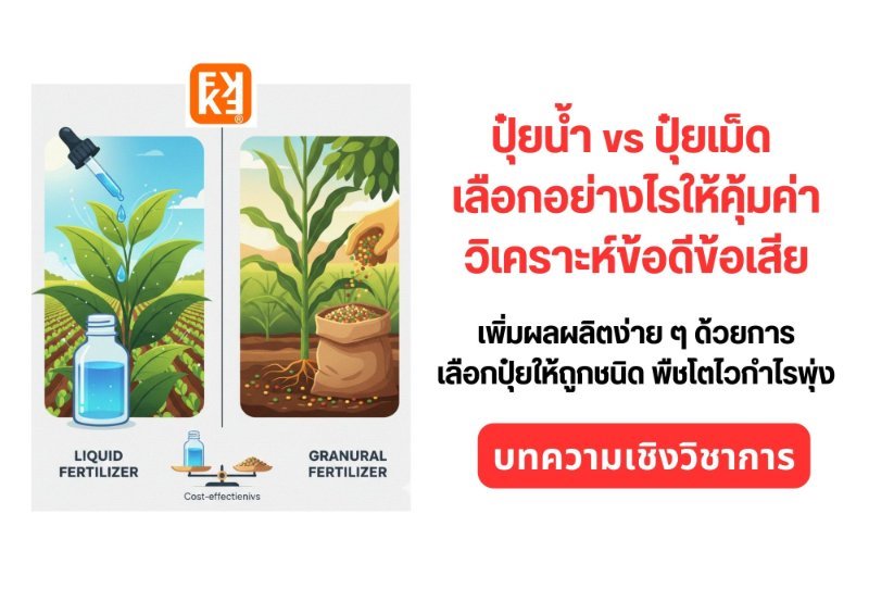 รูปภาพประกอบ