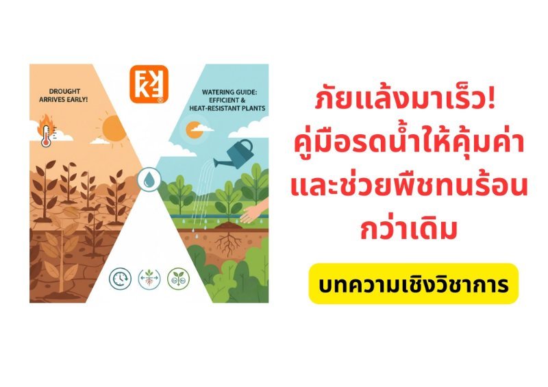 รูปภาพประกอบ