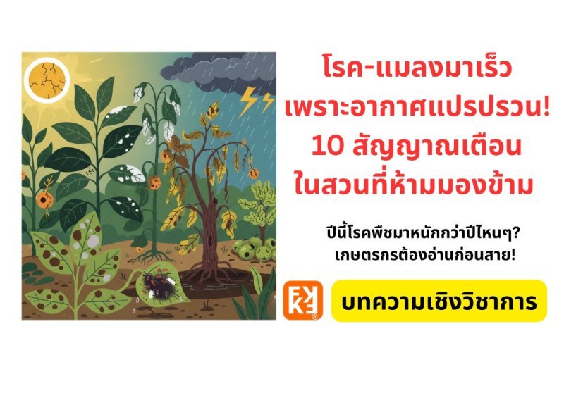 รูปภาพประกอบ