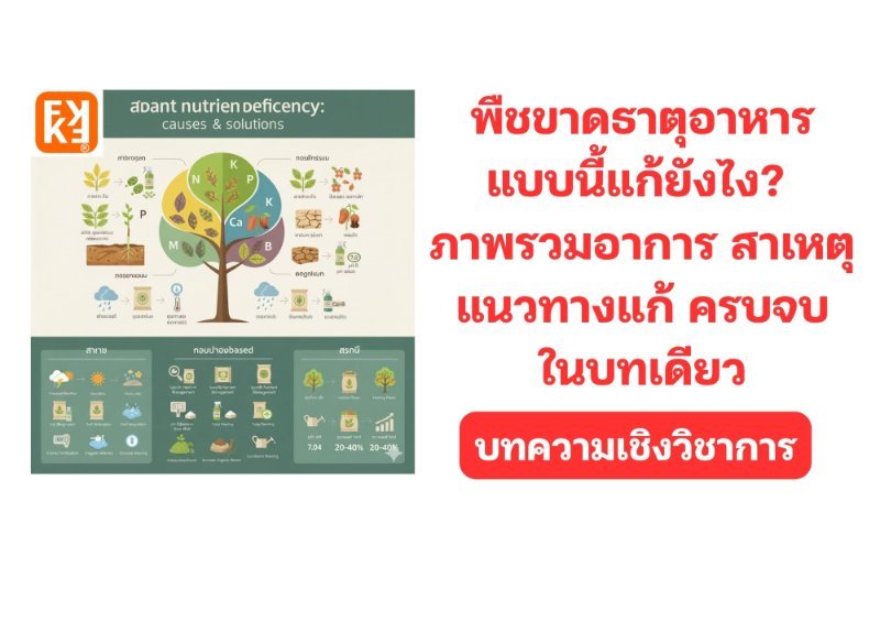 รูปภาพประกอบ