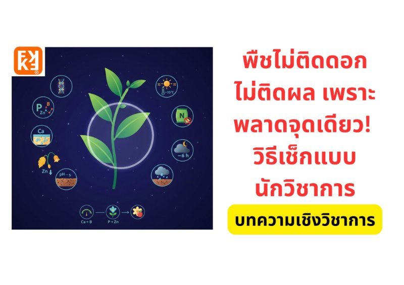 รูปภาพประกอบ