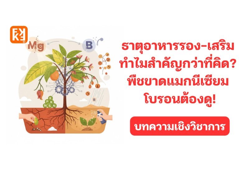 รูปภาพประกอบ