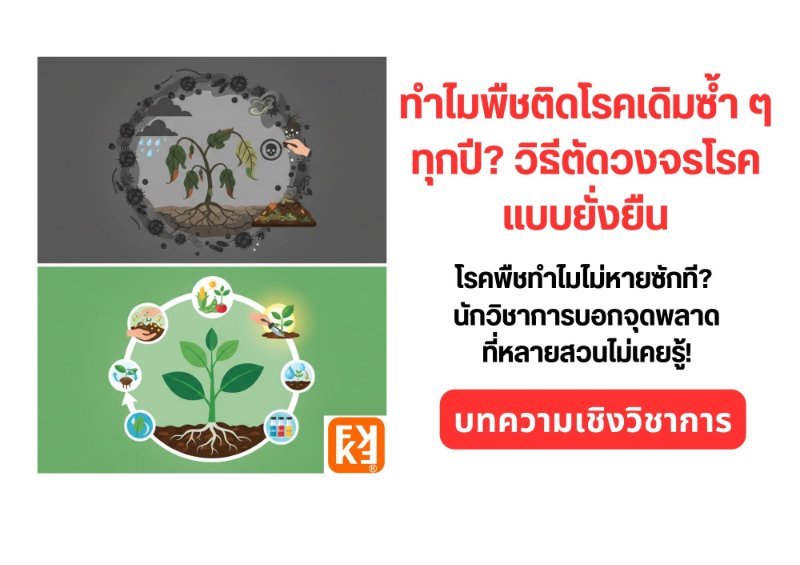 รูปภาพประกอบ