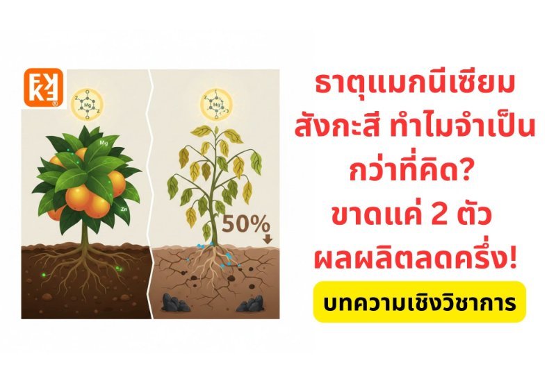 รูปภาพประกอบ