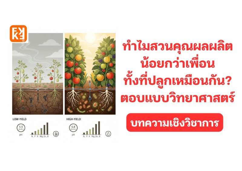 รูปภาพประกอบ