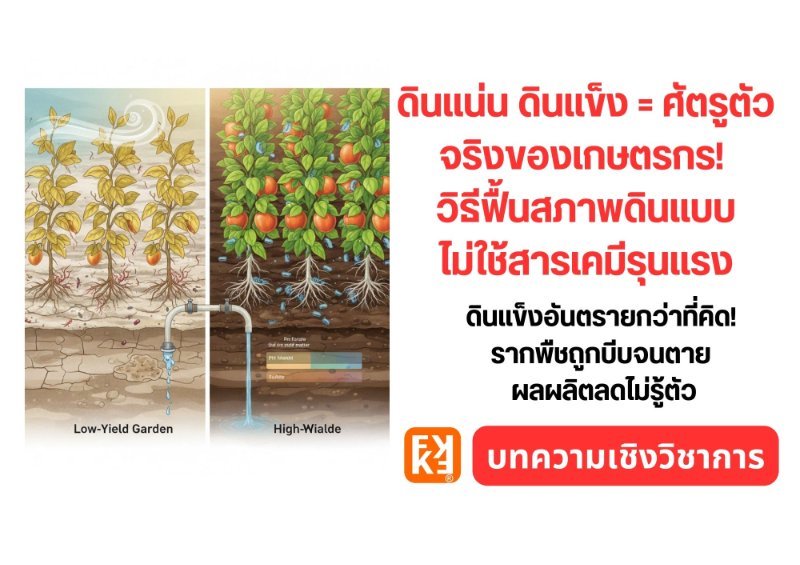 รูปภาพประกอบ