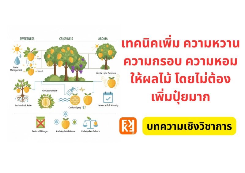 รูปภาพประกอบ