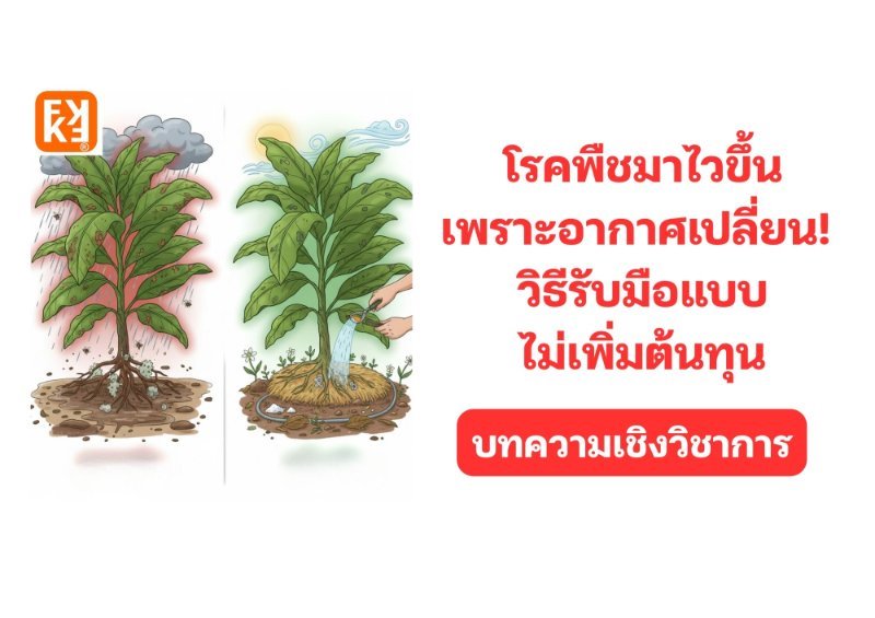 รูปภาพประกอบ