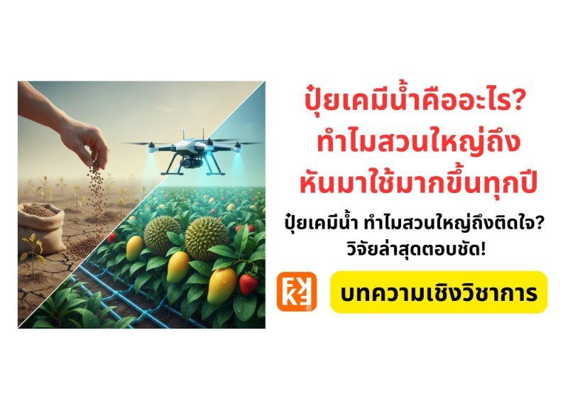 รูปภาพประกอบ