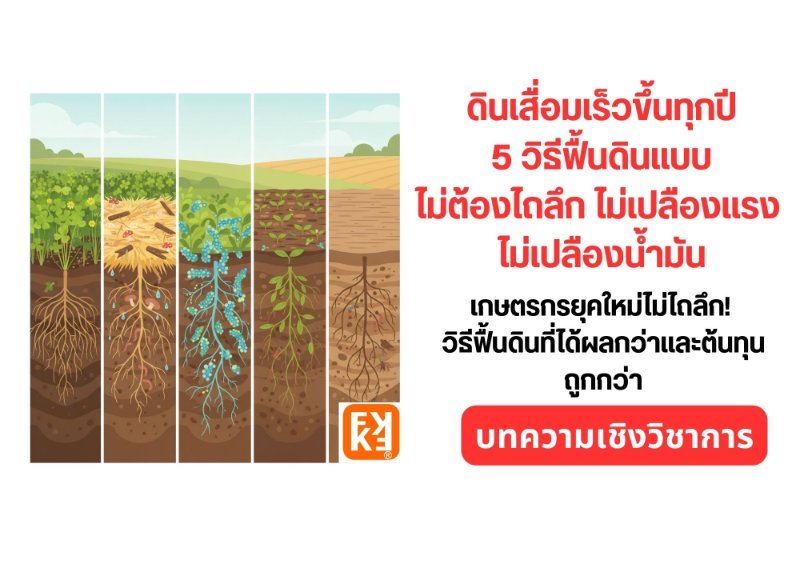 รูปภาพประกอบ