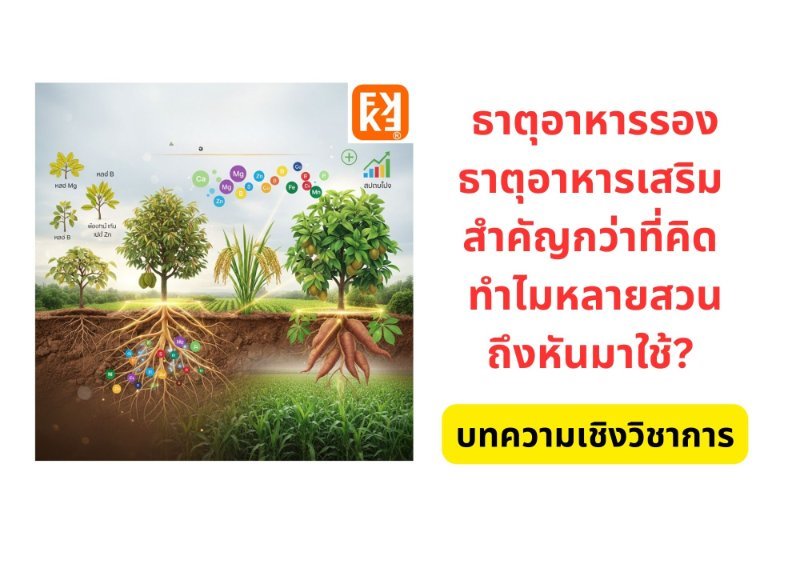 รูปภาพประกอบ