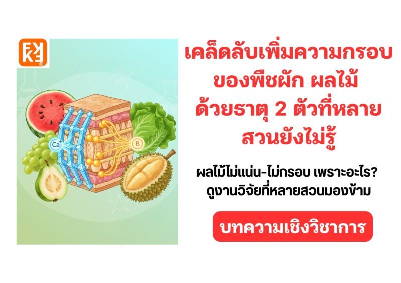 รูปภาพประกอบ