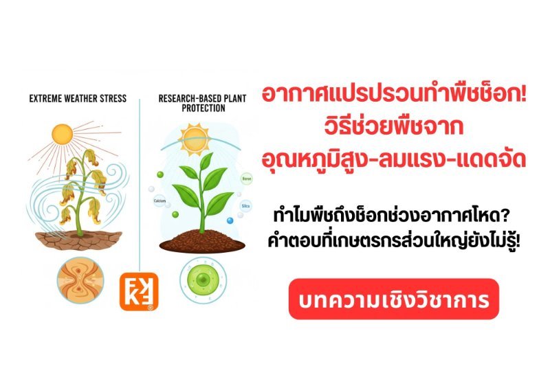 รูปภาพประกอบ