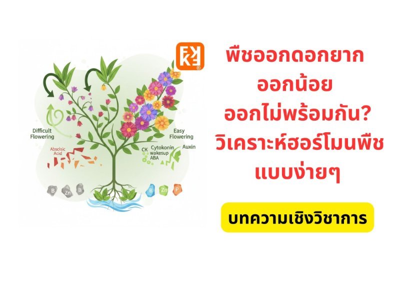 รูปภาพประกอบ