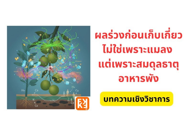 รูปภาพประกอบ