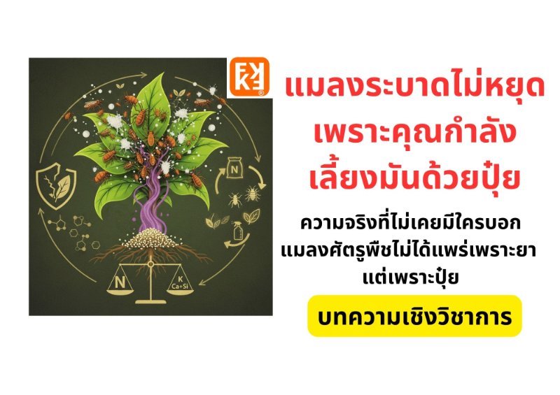 รูปภาพประกอบ