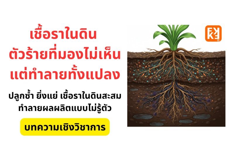 รูปภาพประกอบ