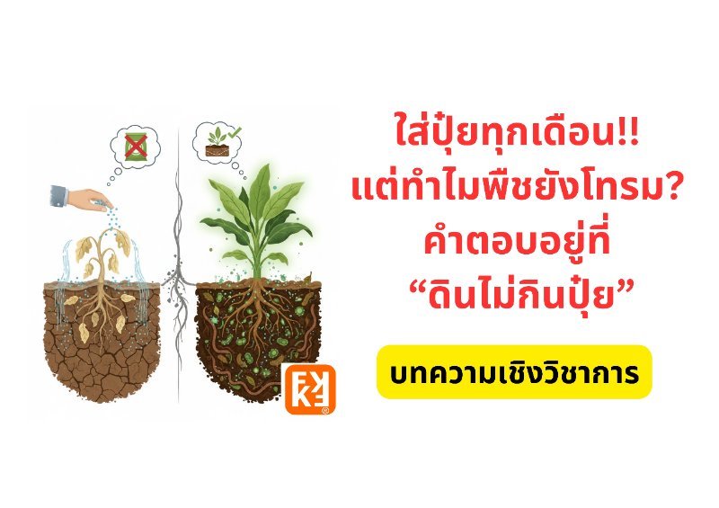 รูปภาพประกอบ